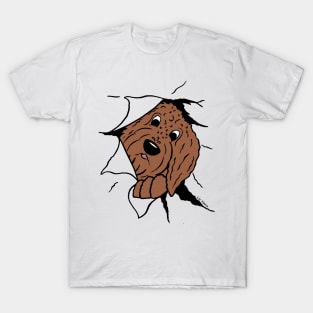 Doodle brown T-Shirt